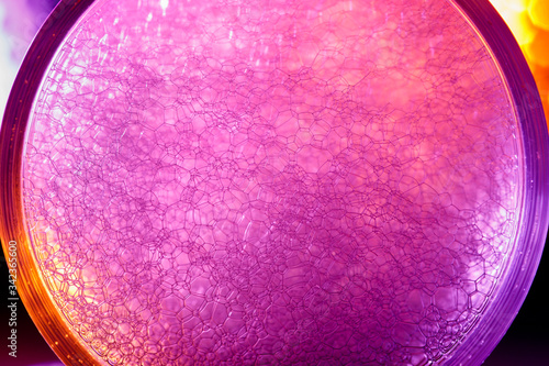 Foam bubble from soap or shampoo calorful detail and texture. photo