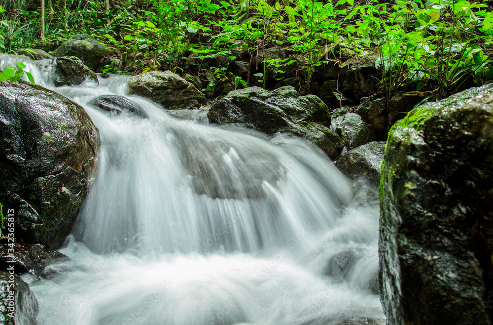 waterfall in the forest