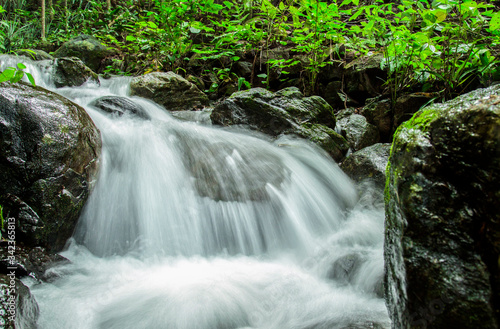 waterfall in the forest