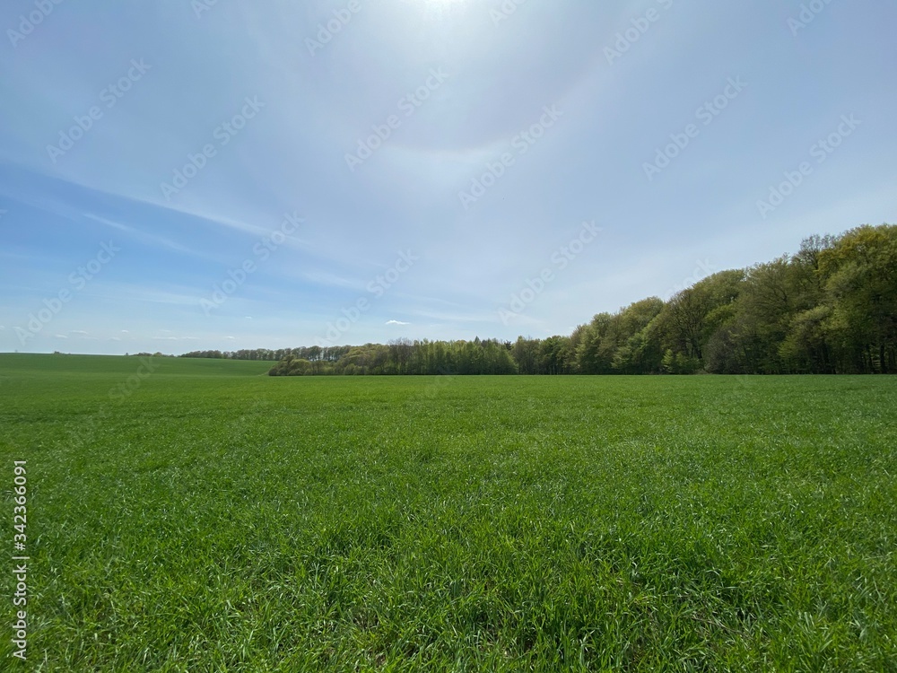 Obraz premium mountains flowers landscape nature italy poland