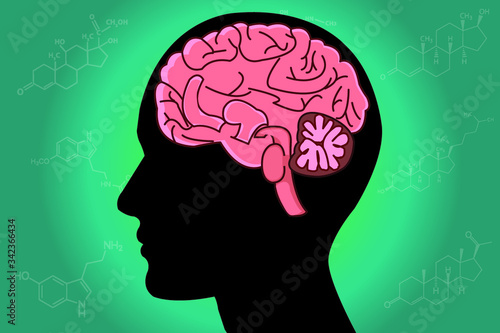 The circadian rhythms are controlled by circadian clocks or biological clock these clocks tell our brain when to sleep, tell our gut when to digest and control our activity in several day.