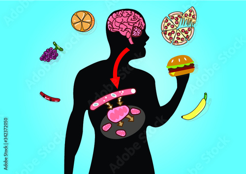 Cellular respiration in mitochondria is a set of metabolic reactions for take place in the cells of organisms to convert biochemical energy from food and other nutrients. Mitochondrial vector