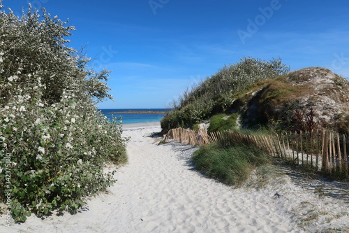 Fototapeta Naklejka Na Ścianę i Meble -  Entrée d'une plage déserte de sable blanc, la Grève Blanche, sur l'île de Batz en Bretagne (France)