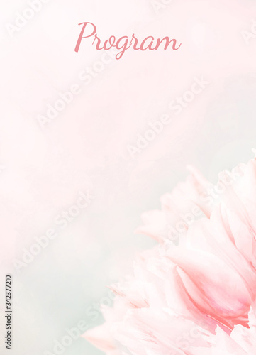 Wedding Program card, pink tulips, standart size. Greeting or invite Details card, elegant clear design template, light blur background.