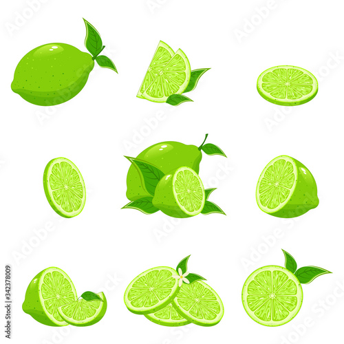 Lime citrus fruit, green and juicy, juice vitamin organic. Collection of fresh limes. Designed for logos and web sites