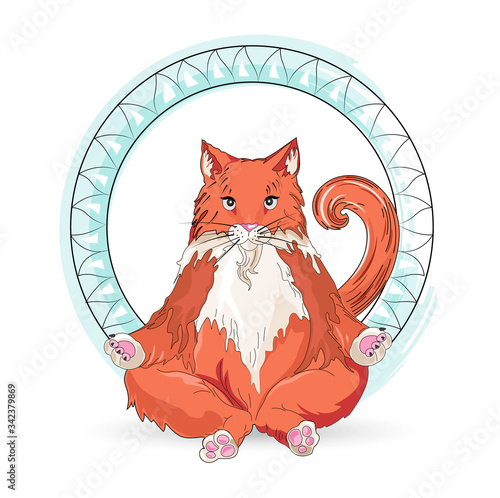 Ginger cat meditating in lotus yoga pose with blue ring around