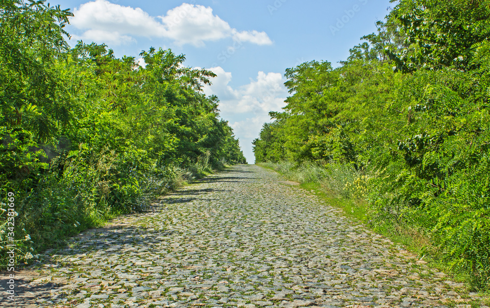 Obraz premium Picturesque and empty old road.