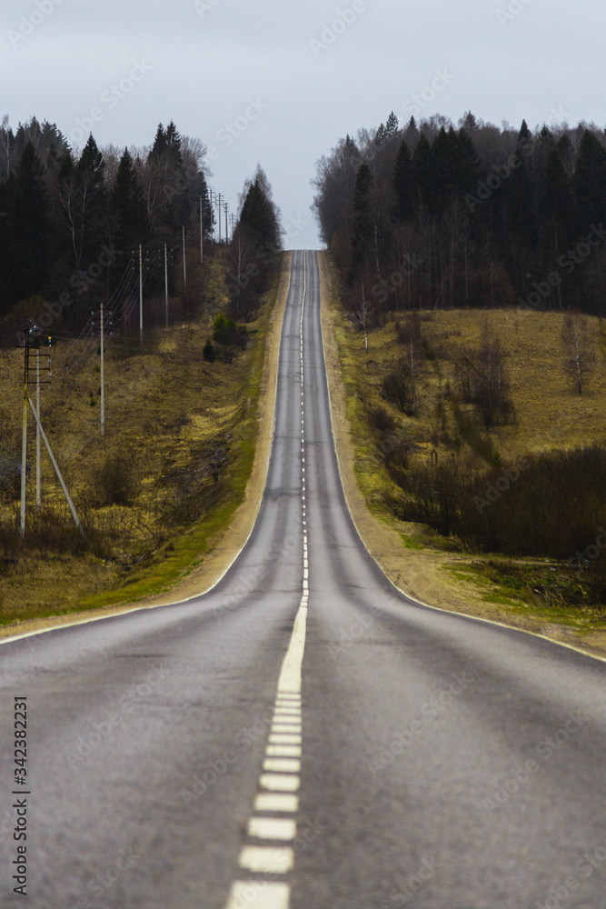 Obraz premium road in the forest