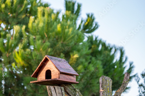 Beautiful handmade wooden bird feeder house on dry tree trunk on green blurred pine tree leaves background, village of Porto Lagos, Northern Greece