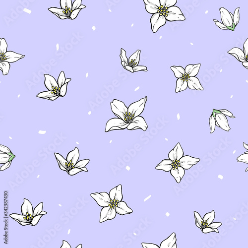 Jasmine white flowers on violet background. Vector handwork illustration. Drawing of blooming white jasmine. Seamless pattern with jasmines for textiles design.