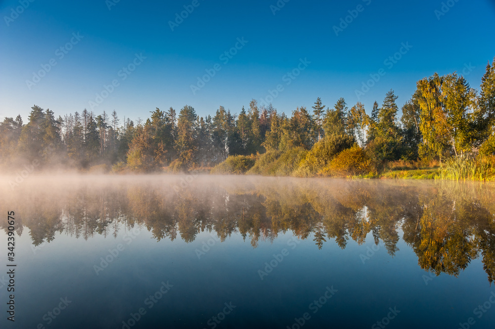 Foggy lake scape and vibrant spring colors in trees at dawn. Concepts: tranquility, nature, background, morning