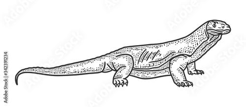 Monitor lizard Varanus sketch engraving vector illustration. T-shirt apparel print design. Scratch board imitation. Black and white hand drawn image.