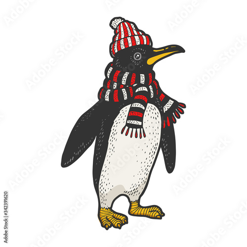 Penguin bird neck is wrapped in scarf and winter hat color sketch engraving vector illustration. T-shirt apparel print design. Scratch board imitation. Black and white hand drawn image.