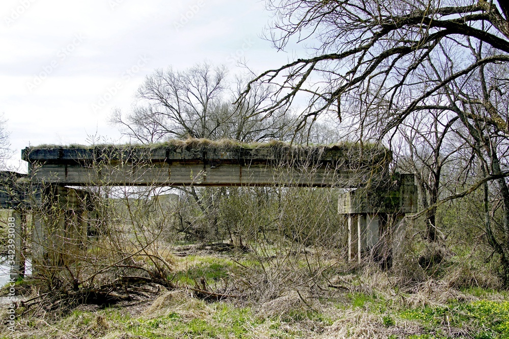 Landscape. Spring. April. Old time-destroyed concrete bridge. Piles and floors covered with moss.