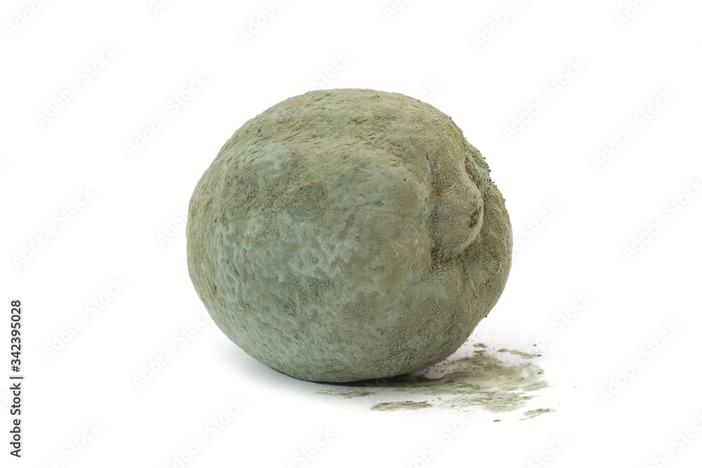 Rotten moldy lemon isolated on white Rotten moldy lemon isolated on white