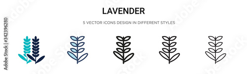 Lavender icon in filled, thin line, outline and stroke style. Vector illustration of two colored and black lavender vector icons designs can be used for mobile, ui, web