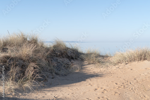 Sand dunes on the beach