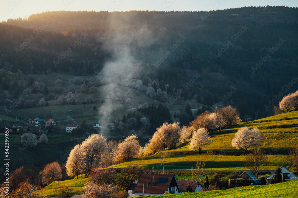 Spring in Slovakia. Meadows and fields landscape near Hrinova. Spring colored cherry trees at sunset
