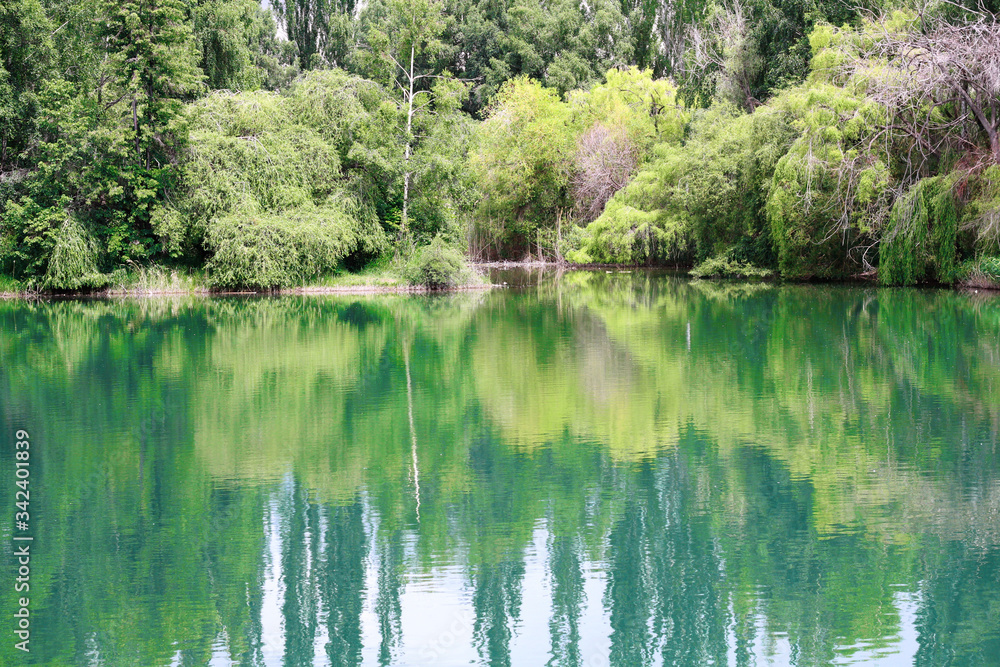 reflection of trees in water reflection of trees in water