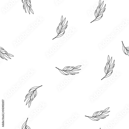 Minimalist plant vector illustration on a white background. Silhouette of leaves. Handwork lifestyle drawing. Seamless pattern for design.