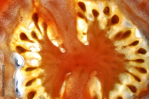 Extreme macro of juicy slice of tomato. Closeup, shallow DOF.  © dunya8