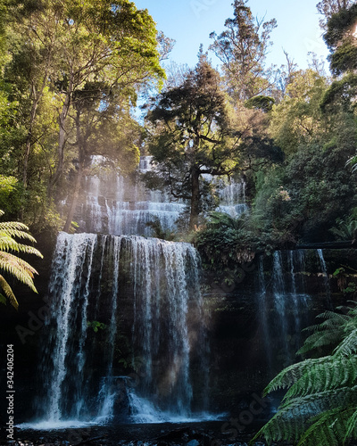 Mount Field National Park, Tasmania, Australia