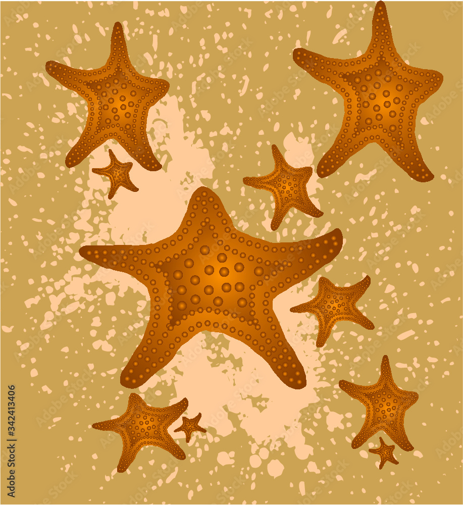 Star graphic design vector art Star graphic design vector art