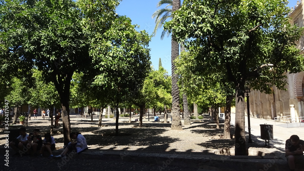 Cordova is a beautiful city in Andalusia, Spain