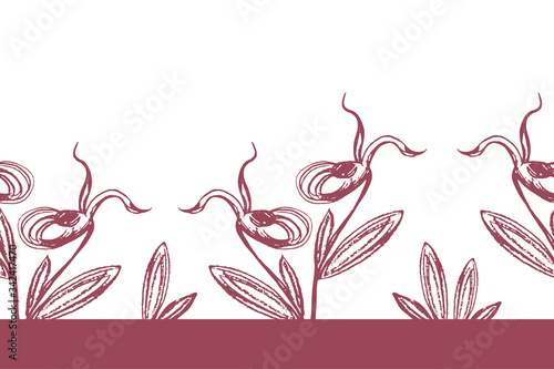 Vector doodle flower sketch taiga orchid venus slipper seamless border. Black outline illustration, drawing isolated on a white background, drawn by hand. Natural horizontal pattern.