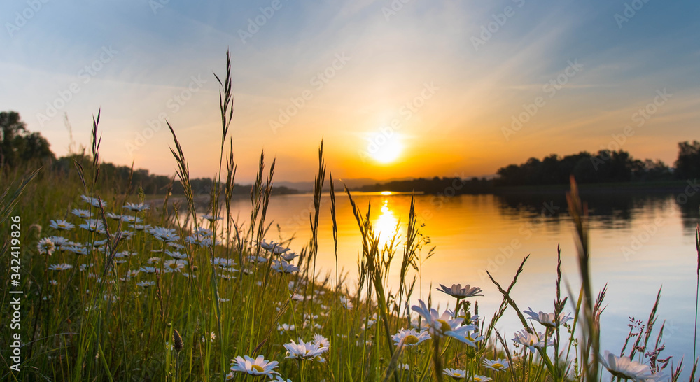 Sonnenaufgang am Rhein auf elsässicher Seite Sonnenaufgang am Rhein auf elsässicher Seite