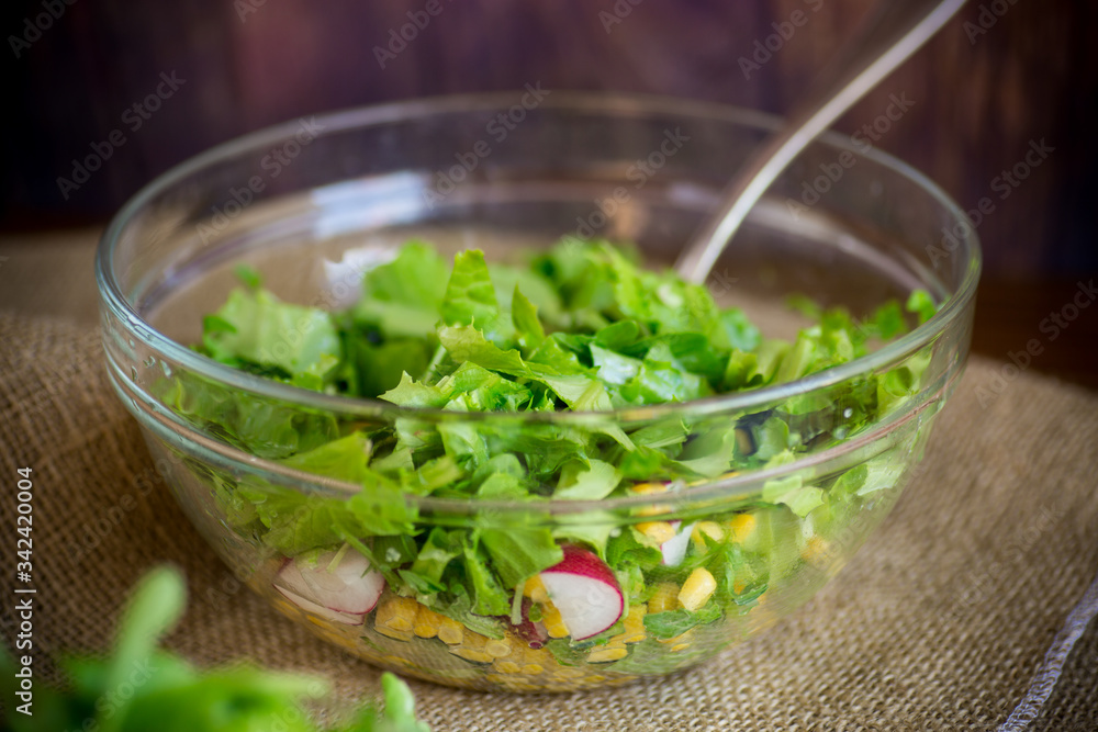 Spring salad from early vegetables, lettuce leaves, radishes and herbs in a plate on the table Spring salad from early vegetables, lettuce leaves, radishes and herbs in a plate on the table