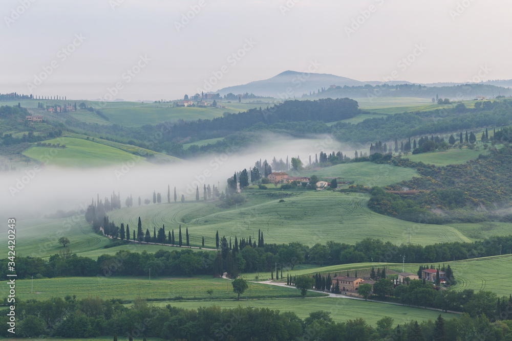 Early morning mist on the Val d'Orcia in Tuscany, Italy.