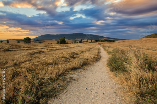 Camino de Santiago as it passes through Navarra