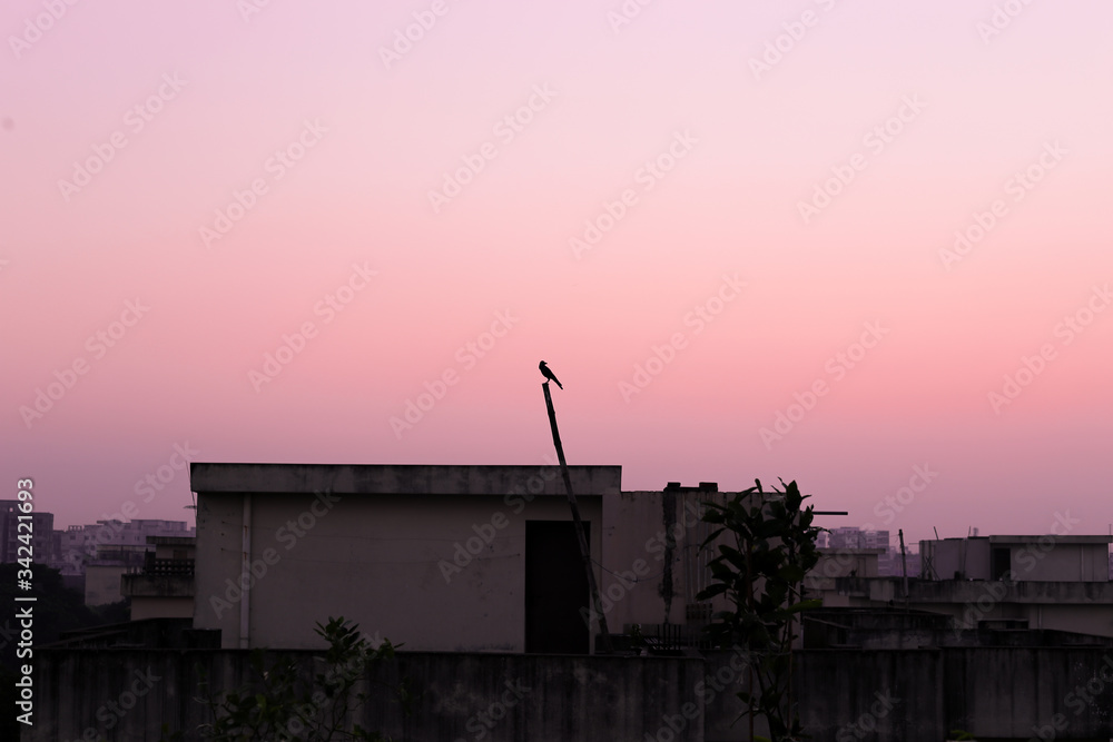 Fototapeta premium sunset