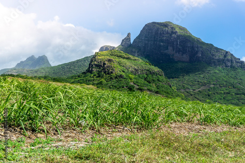 The Trois Mamelles mountains seen from a sugarcane field on the island of Mauritius 