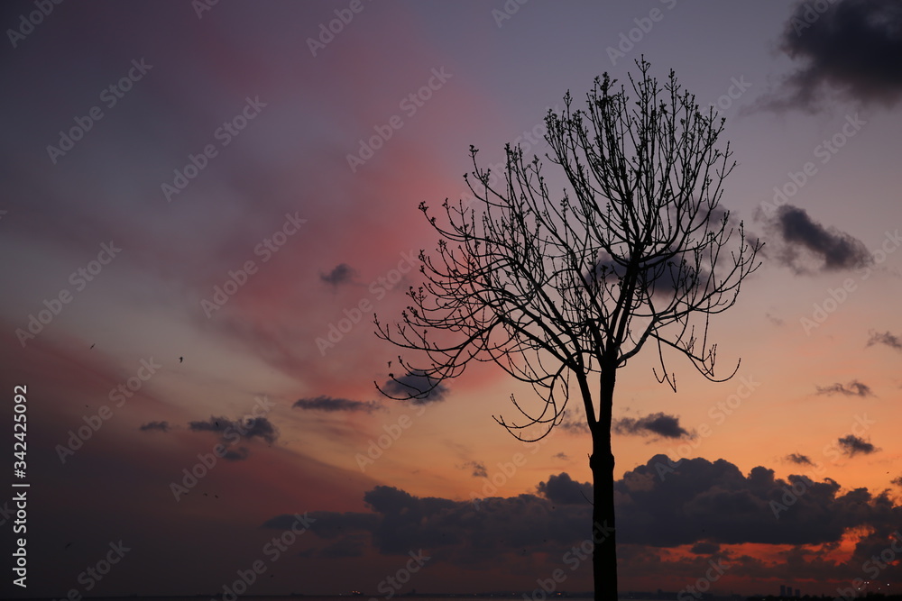 Sunset on the sea, coast of İstanbul /Turkey
