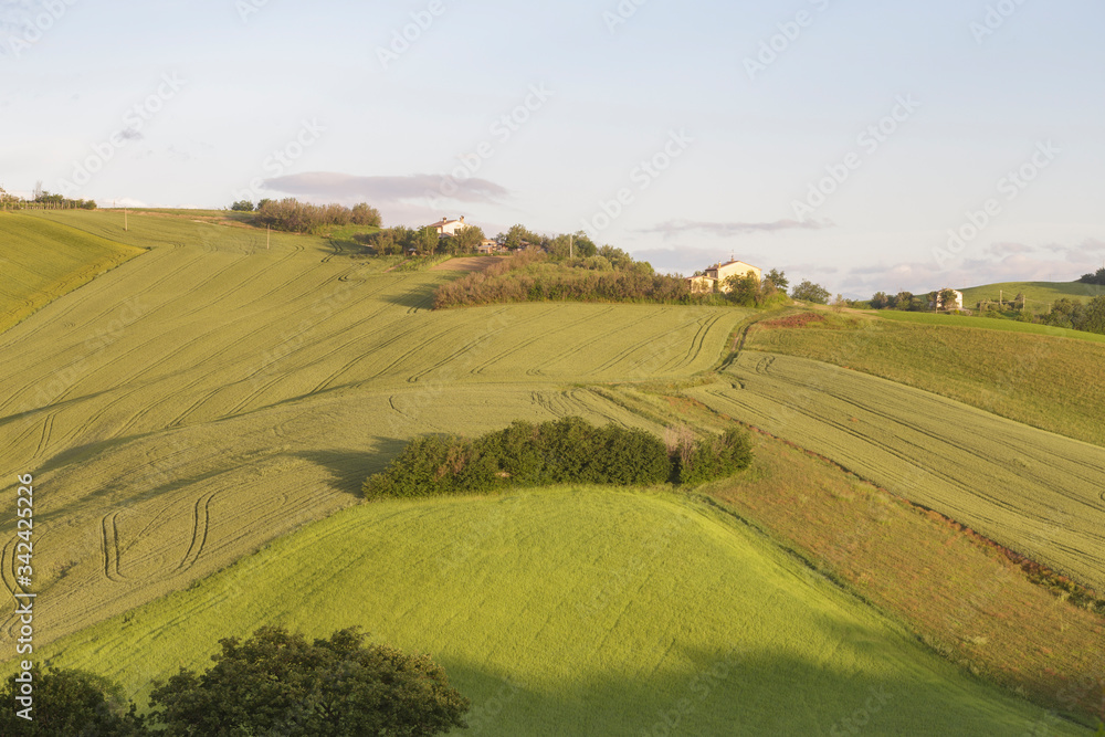 The rolling landscape of Le Marche in Italy.