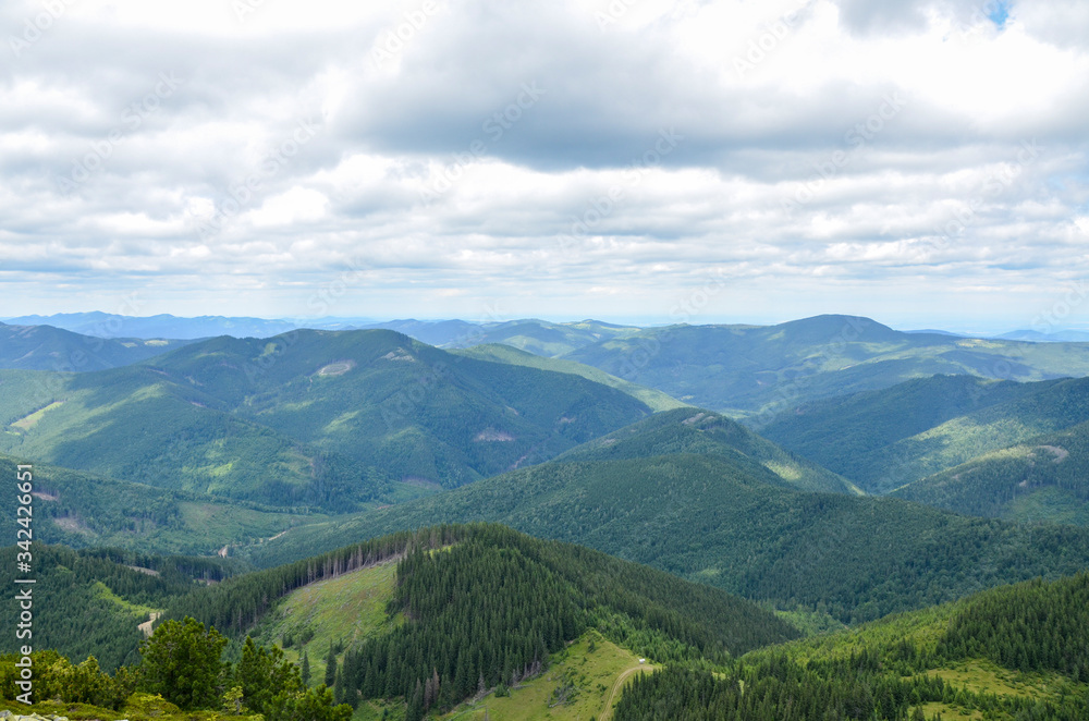 Beautiful mountains landscape was taken high in the Carpathian Mountains. Cloudy sky fresh green meadows and pine forest convey the atmosphere of the Carpathians.