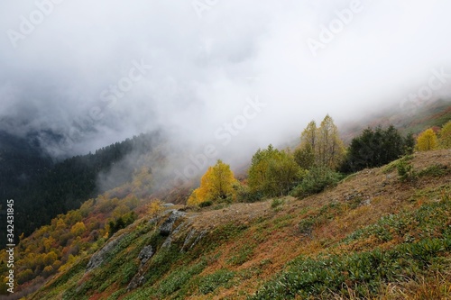 Beautiful mountain autumn view with low clouds on the route from the Mt. Megruki peak to Atskuri. Borjomi-Kharagauli National Park, Georgia. 