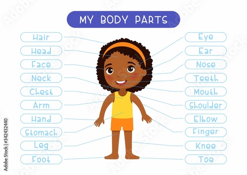 My body parts educational infographic kids poster. Cute african little girl showing external organs names. Cartoon anatomy childish printable banner design, english words learning card layout