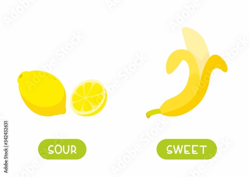 Antonyms concept, SOUR and SWEET. Educational flash card with fruits of different tastes template. Banana and lemon. Word card for english language learning with opposites. Flat vector illustration