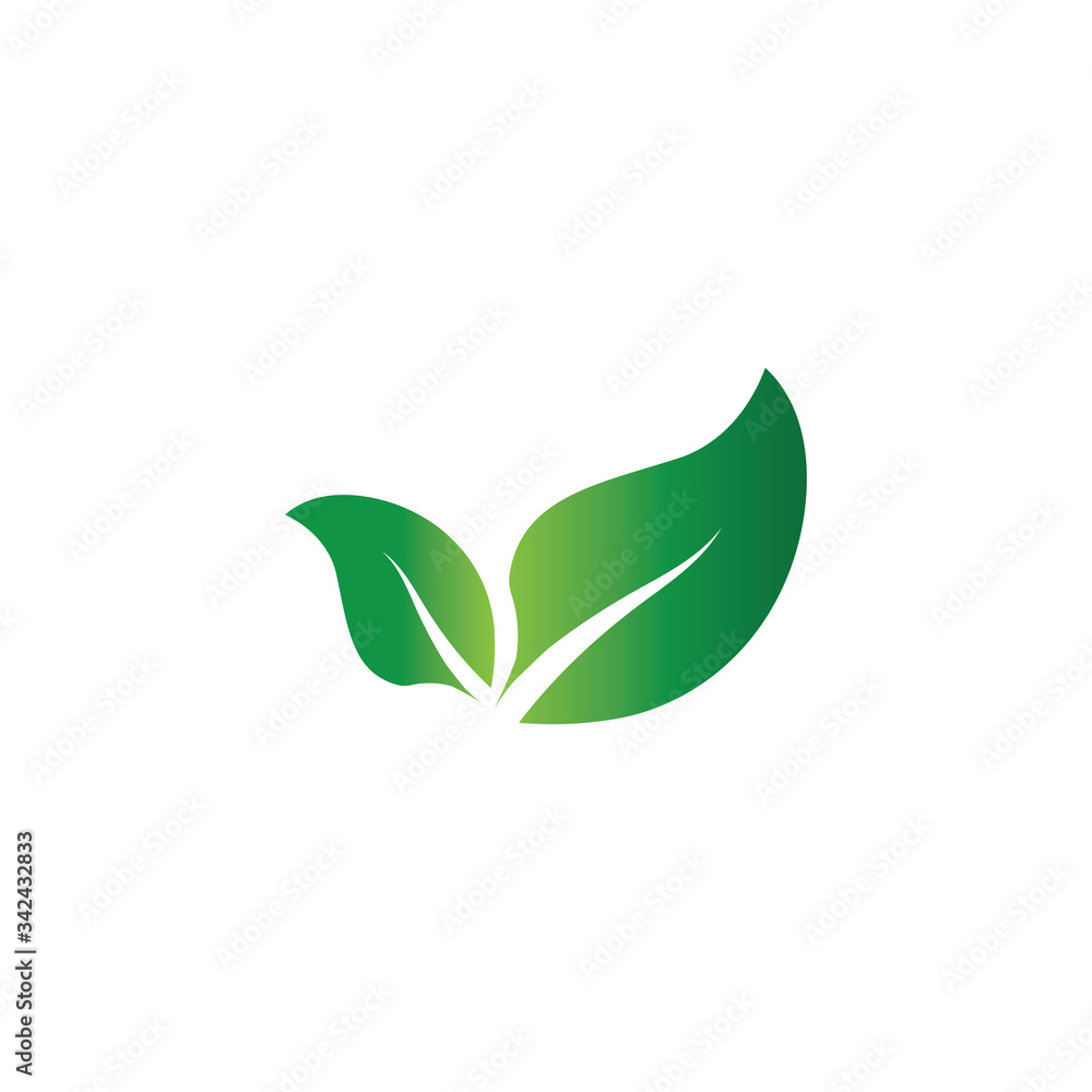 Fototapeta premium Leaf Logo Template vector symbol