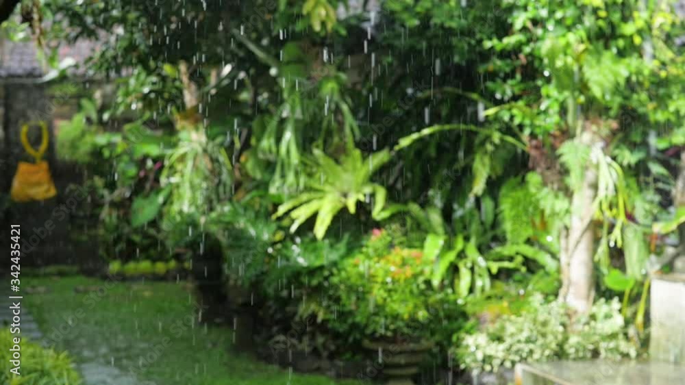 Timelapse of sunrise in Ubud villa, Bali, Indonesia, Asia. View to the swimming pool on the cliff and jungle. Timelapse of sunrise in Ubud villa, Bali, Indonesia, Asia. View to the swimming pool on the cliff and jungle.