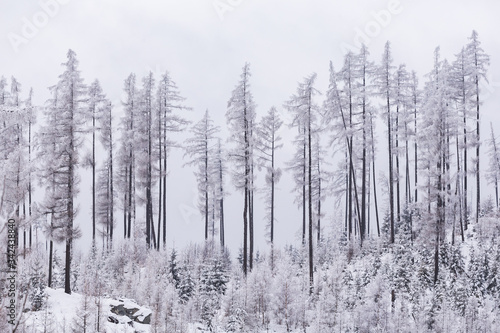 winter landscape in the mountains of Slovakia, Tatra mountains and snow © vadimborkin