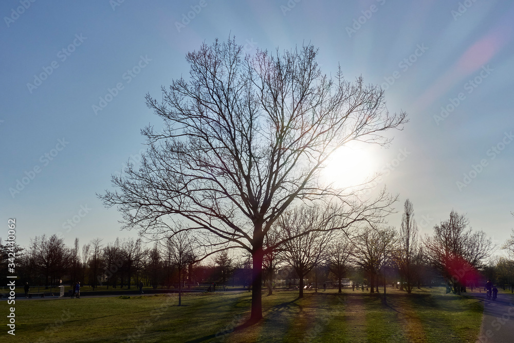 Baum Baum