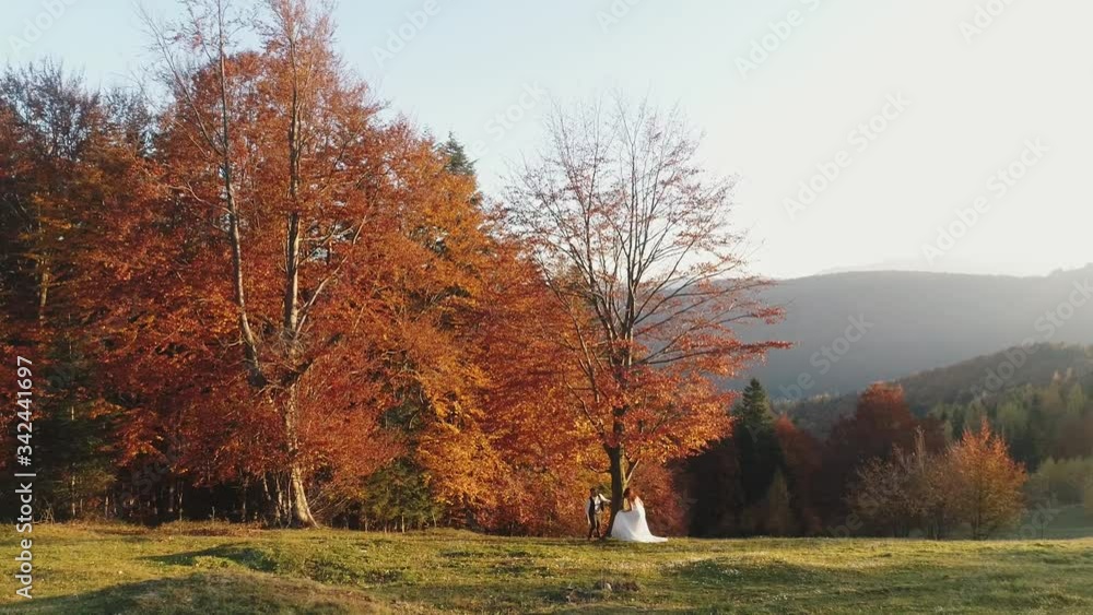 The youth. Wedding couple stands on a high mountain slope near a beautiful autumn tree. Beautiful bride and groom. Autumn sunset. Man and woman in love. Wedding day. Aerial view. The youth. Wedding couple stands on a high mountain slope near a beautiful autumn tree. Beautiful bride and groom. Autumn sunset. Man and woman in love. Wedding day. Aerial view.