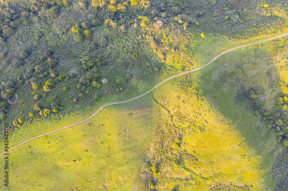 Afternoon light shines on the green hills of the east bay region of Northern California, just east of San Francisco Bay. This beautiful area is green in the winter and spring and golden in the summer. Afternoon light shines on the green hills of the east bay region of Northern California, just east of San Francisco Bay. This beautiful area is green in the winter and spring and golden in the summer.