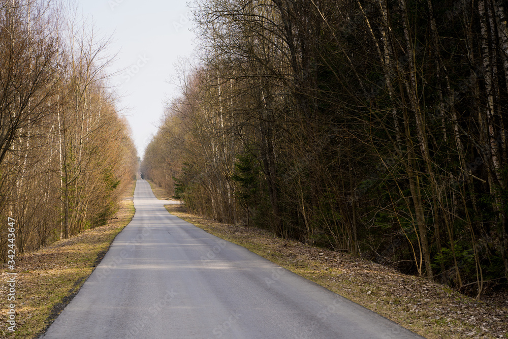 Long gray asphalt road stretching in forest.No cars,people around.Trip in own car to wild nature alone,with family,friends.Self-isolation,departure,escape from city.Quarantine covid-19 coronavirus Long gray asphalt road stretching in forest.No cars,people around.Trip in own car to wild nature alone,with family,friends.Self-isolation,departure,escape from city.Quarantine covid-19 coronavirus