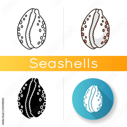 Cowrie shell icon