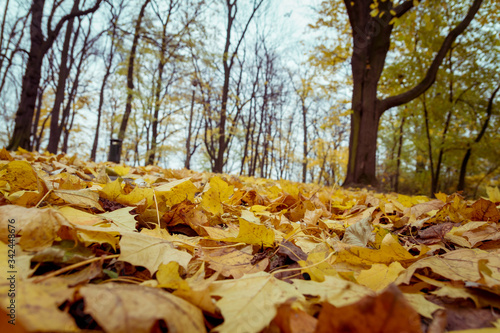 Otoño